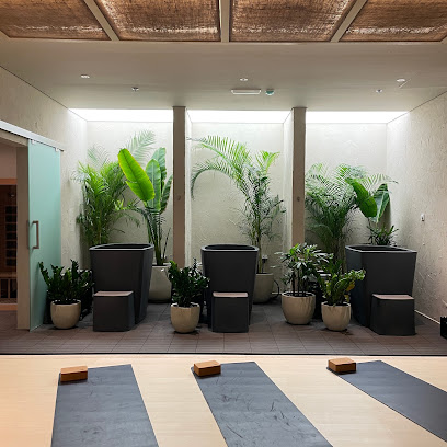 Recovery Island | sports performance and recovery club 🏝️ main image